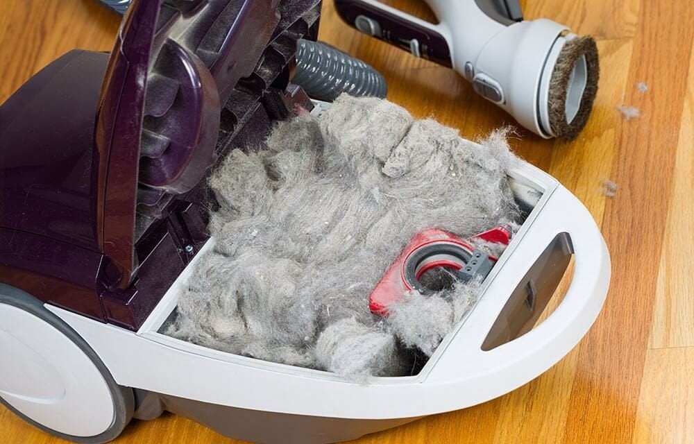 How to Maintain and Clean the Shark Vacuums